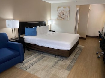 Standard Room, 1 King Bed with Sofa bed, Non Smoking, Refrigerator & Microwave