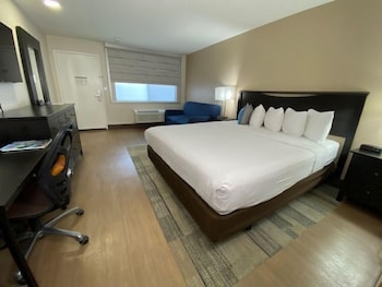 Standard Room, 1 King Bed with Sofa bed, Non Smoking, Refrigerator & Microwave