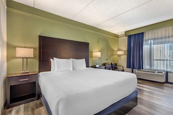Standard Room, 1 King Bed, Accessible, Refrigerator & Microwave