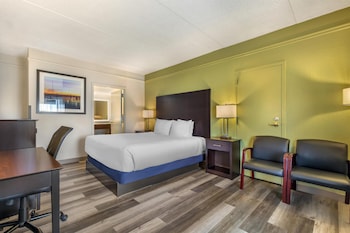 Standard Room, 1 King Bed, Accessible, Refrigerator & Microwave
