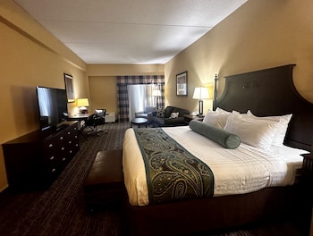 Standard Room, 1 King Bed with Sofa bed, Non Smoking (No Pets)