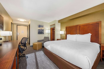 Standard Room, 1 King Bed, Non Smoking