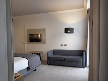 Standard Room, 1 King Bed with Sofa bed