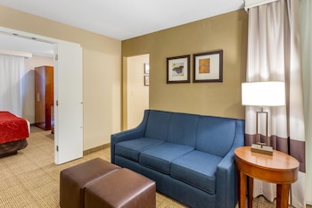 Business Room, 1 King Bed with Sofa bed