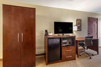 Room, 1 King Bed, Accessible, Non Smoking