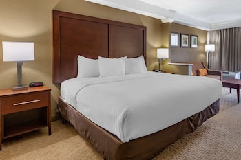 Room, 1 King Bed, Accessible, Non Smoking
