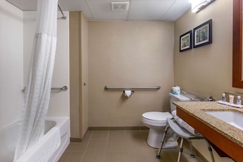 Room, 1 King Bed, Accessible, Non Smoking