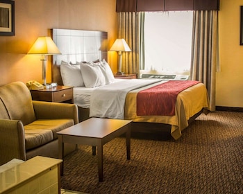 Suite, 1 King Bed with Sofa bed, Accessible, Non Smoking