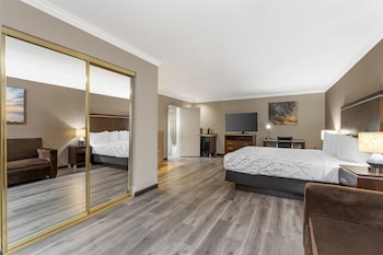 Standard Room, 1 King Bed, Non Smoking, Jetted Tub