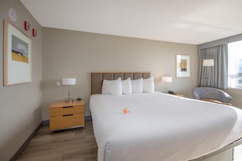 Room, 1 King Bed, Lake View (Coast King with Pond View)