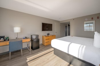 Room, 1 King Bed, Lake View (Coast King with Pond View)
