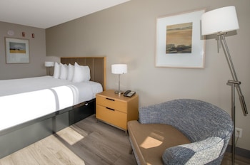 Room, 1 King Bed, Lake View (Coast King with Pond View)