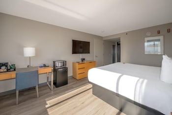 Room, 1 King Bed, Lake View (Coast King with Pond View)