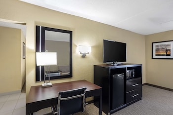 Suite, 1 King Bed, Non Smoking, Refrigerator & Microwave (Living Room;with Sofabed)