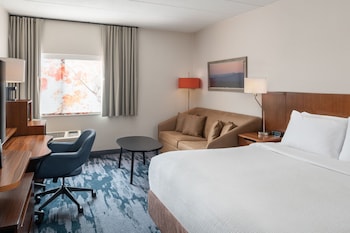 Room, 1 King Bed with Sofa bed