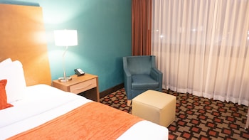 Room, 1 King Bed, Non Smoking