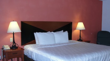 Standard Room, 1 King Bed, Non Smoking (Pet Friendly)