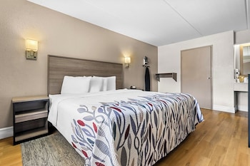 Standard Room, 1 King Bed, Accessible (Roll-In Shower, Smoke Free)