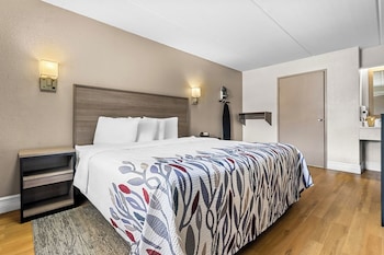 Standard Room, 1 King Bed, Accessible (Roll-In Shower, Smoke Free)