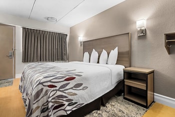 Standard Room, 1 King Bed, Accessible (Smoke Free)