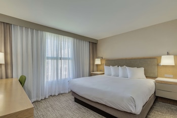 Suite, 1 King Bed with Sofa bed