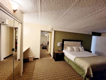 Suite, 1 King Bed