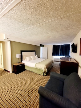 Suite, 1 King Bed