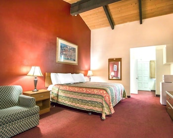 Standard, 1 King Bed, Accessible, Non Smoking (Roll-In Shower)