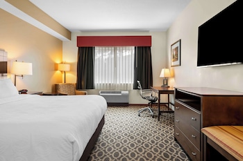 Business Room, 1 King Bed, Non Smoking