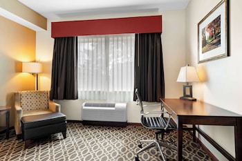 Business Room, 1 King Bed, Non Smoking