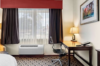 Business Room, 1 King Bed, Non Smoking, Jetted Tub