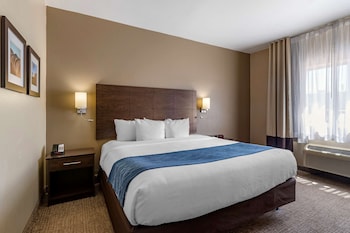 Room, 1 King Bed, Accessible, Non Smoking