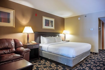 Standard Room, 1 King Bed, Non Smoking