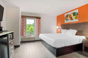 Standard Room, 1 King Bed, Smoking, Refrigerator & Microwave (with Sofabed)