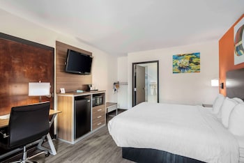 Standard Room, 1 King Bed, Accessible, Non Smoking