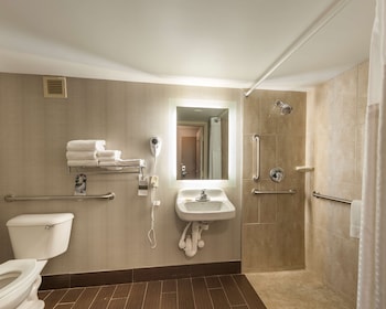 Standard Room, 1 King Bed, Accessible, Refrigerator