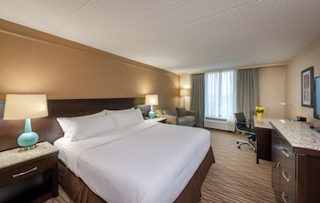 Standard Room, 1 King Bed, Non Smoking, Refrigerator (with Sofabed)
