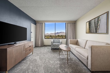 Room, 1 King Bed, Mountain View