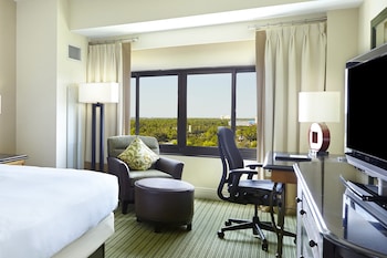 Room, 1 King Bed