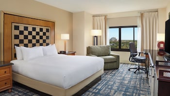 Room, 1 King Bed, Bathtub