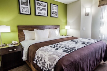 Standard Room, 1 King Bed, Non Smoking