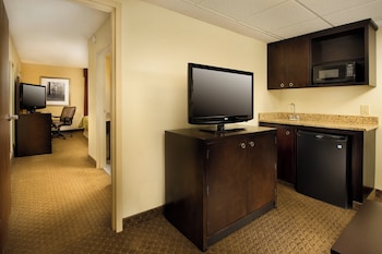 Suite, 1 King Bed with Sofa bed