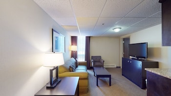 Suite, 1 King Bed with Sofa bed