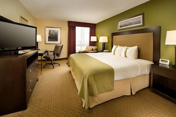 Standard Room, 1 King Bed, Accessible (Mobility Accessible)