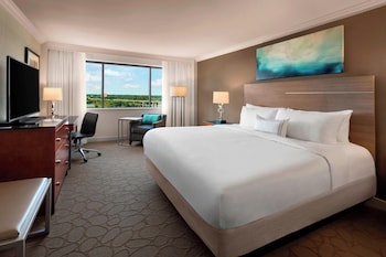 Room, 1 King Bed