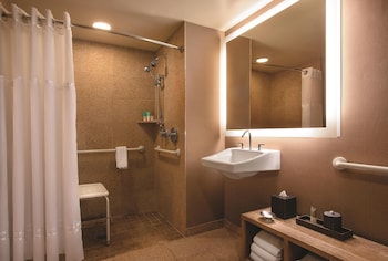 Room, 1 King Bed, Accessible (with Shower)