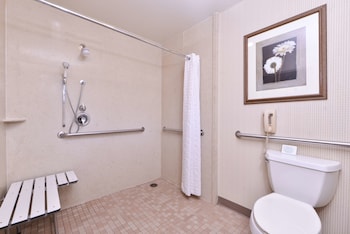 Standard Room, 1 King Bed, Accessible, Non Smoking