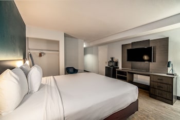 Standard Room, 1 King Bed, Non Smoking