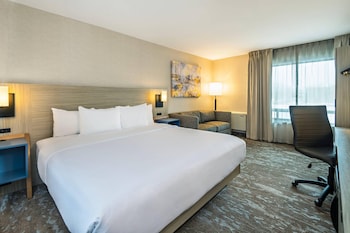 Room, 1 King Bed, Non Smoking (Upgrade)