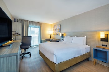 Suite, 1 King Bed with Sofa bed, Non Smoking